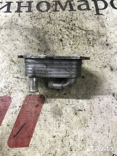 Радиатор масляный Land Rover Freelander