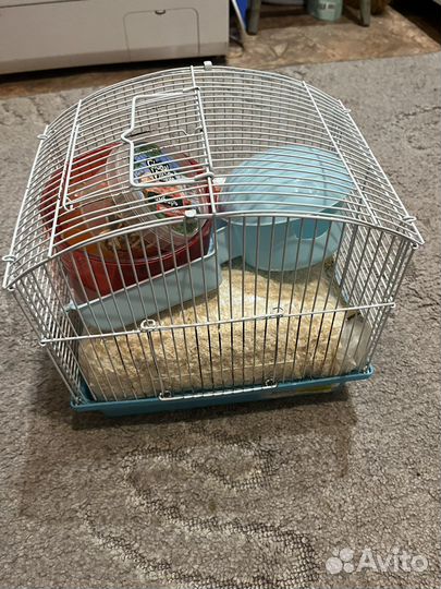 Клетка для джунгарского хомяка