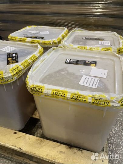 Мед свежий цветочный оптом