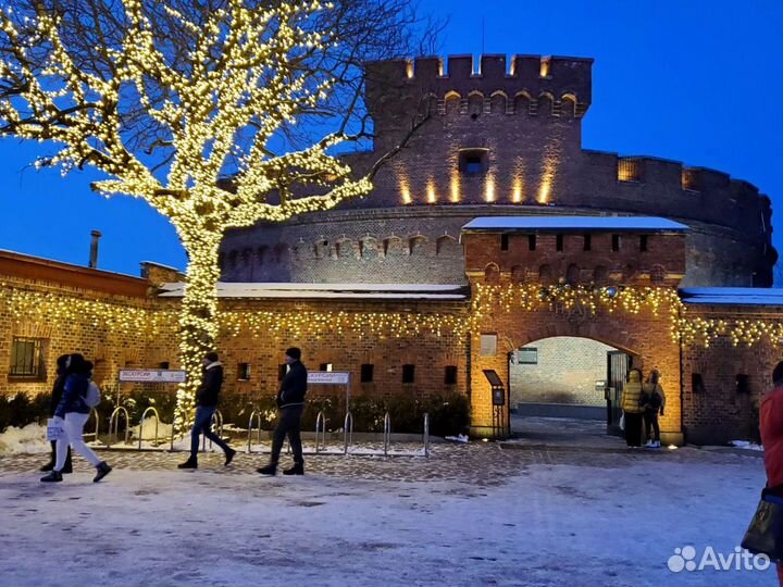 Индивидуальные экскурсии по Калининграду