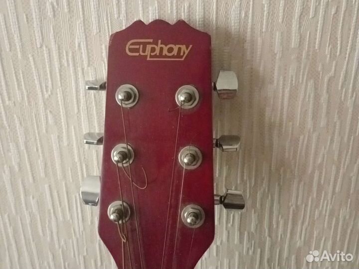 Акустическая гитара euphony