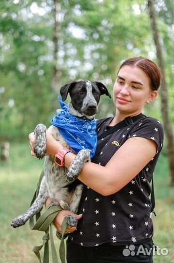 Собака в добрые руки щенок мальчик из приюта