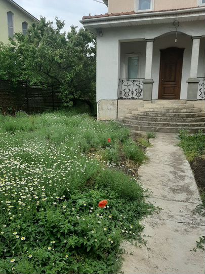 Дом 350 м² на участке 6 сот.