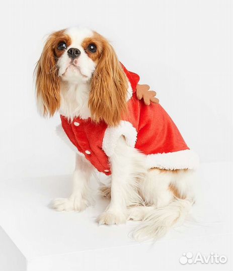 Кофта для собаки