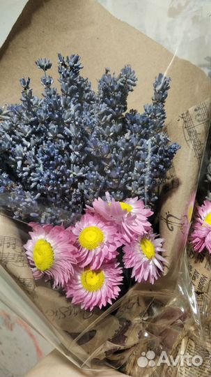 Лавандин сухоцвет