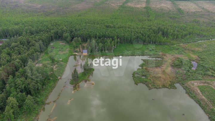 Участок 10 сот. (СНТ, ДНП)