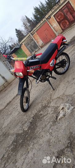 Зид пилот 50