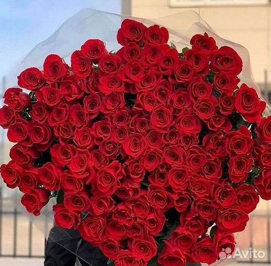 Розы Высокие 150см 160см 170см 180см 190см 2м