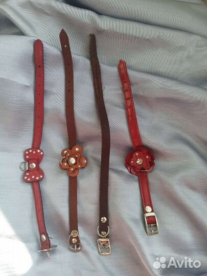 Ошейники и шапка для маленькой собаки