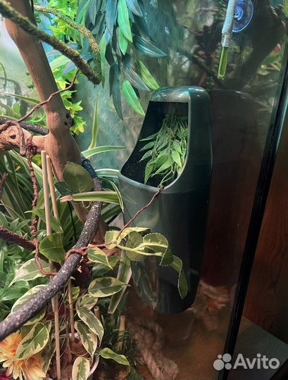 Фонтан, поилка для рептилий