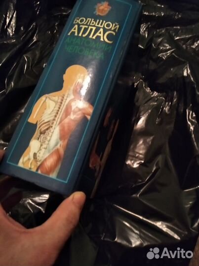 Большой атлас анатомии человека