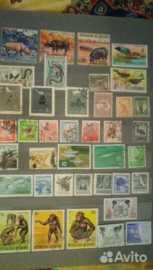 Марки Фауна Зарубежные 1913-1972г