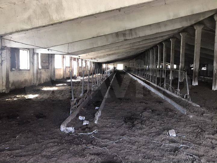 Участок 2 га (СНТ, ДНП)