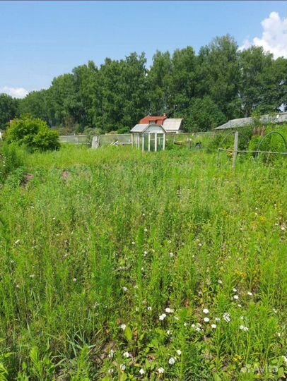 Участок 3,3 сот. (СНТ, ДНП)