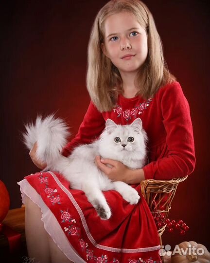 Уникальный фотопроект этой осени Аналогов нет