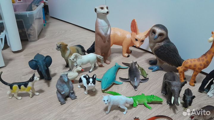 Коллекция животных