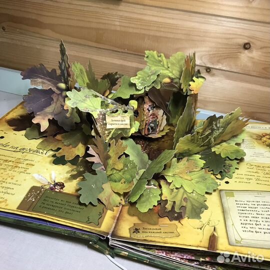 Королевство фей Сесиль Баркер