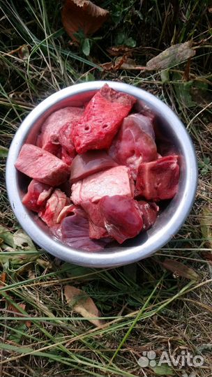 Очень вкусный и полезный Микс для собак