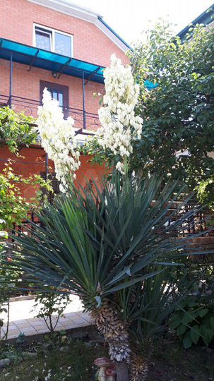 Комната 16 м² в 1-к., 2/2 эт.