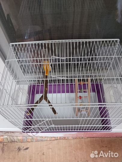 Клетка для волнистого попугая