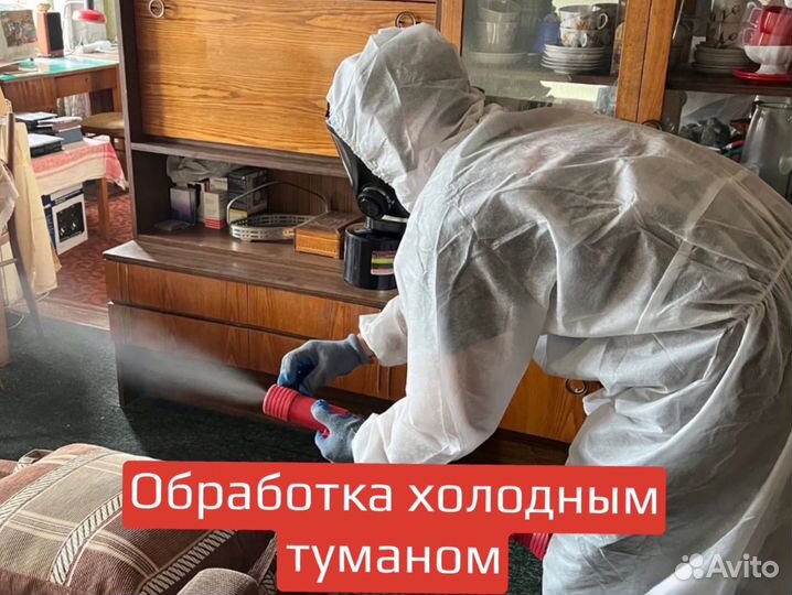 Уничтожение тараканов клопов. Дезинфекция плесени