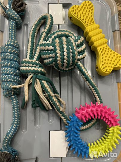 Собачьи вещи: Игрушки, Дождевик, костюм, спреи