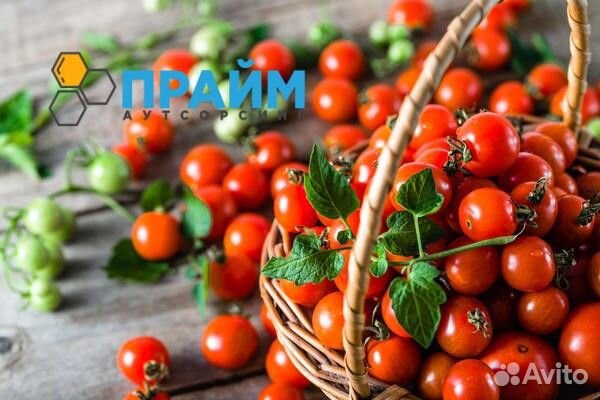 Работник теплицы, вахта с проживанием