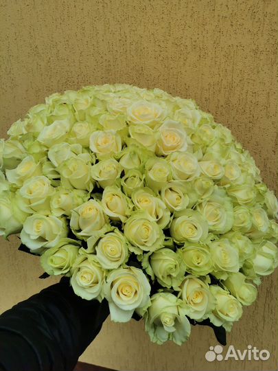 101 роза