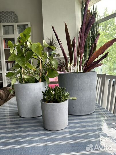 Кашпо для цветов. Бетон. IKEA. Разные