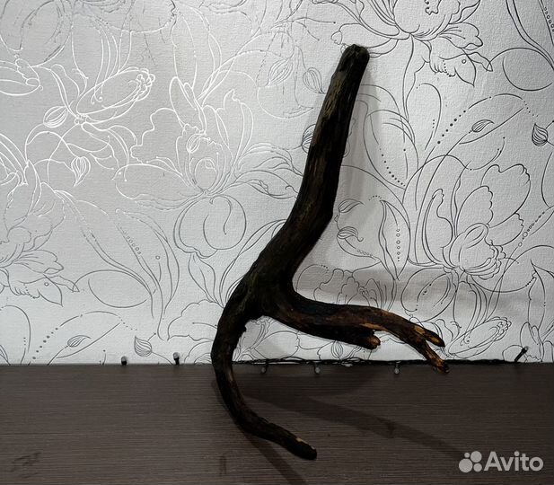 Коряги для аквариума