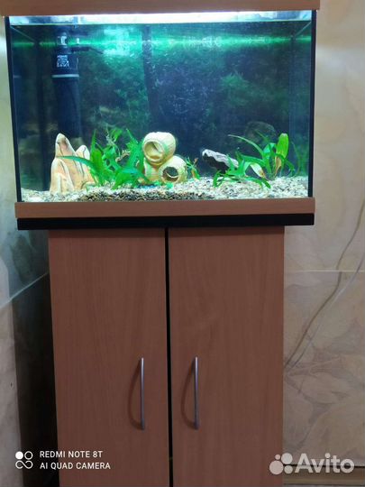 Аквариум
