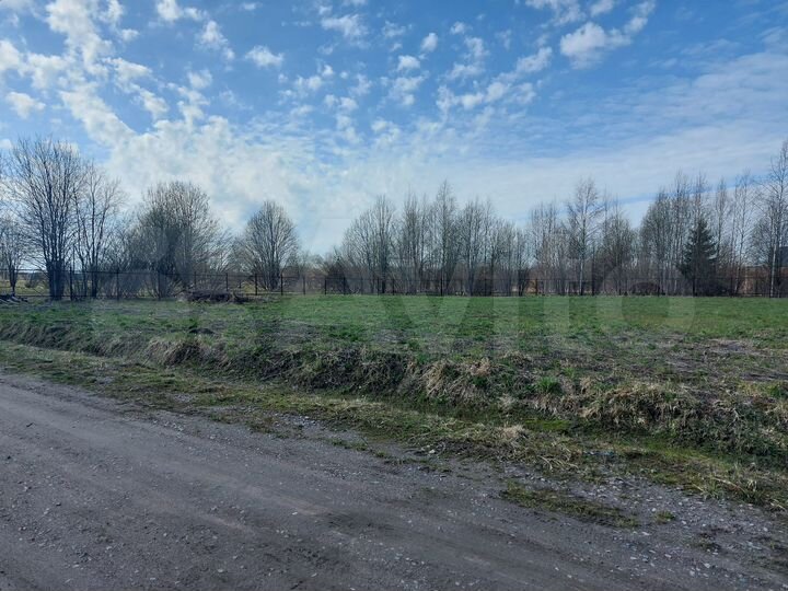 Участок 14 сот. (СНТ, ДНП)