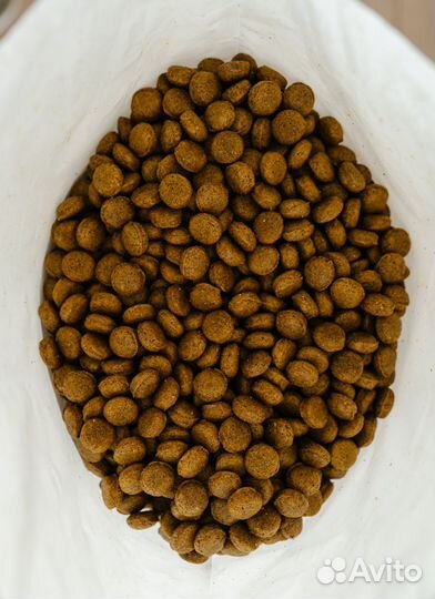 Корм для собак