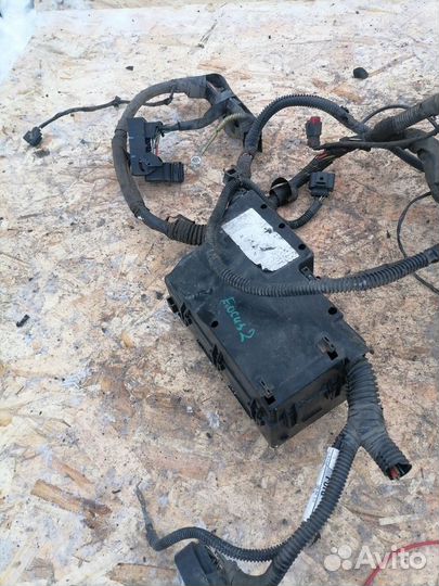 Проводка подкапотная Ford Focus 2