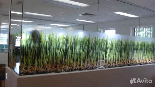 Закаленное стекло с фотопечатью для кухни