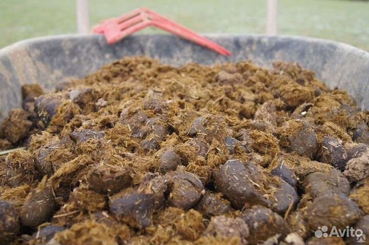 Навоз с доставкой