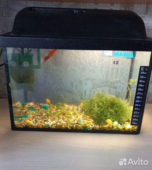 Аквариум с рыбками