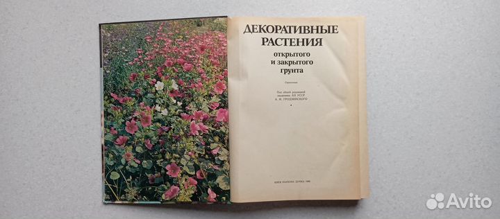 Декоративные растения открытого и закрытого грунта