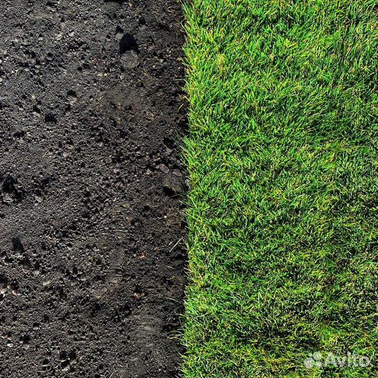 Рулонный газон под ключ. Дорожки. Клумбы