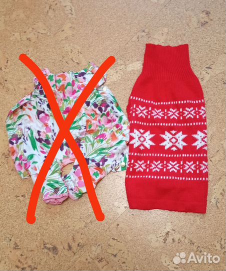 Одежда для маленьких собак