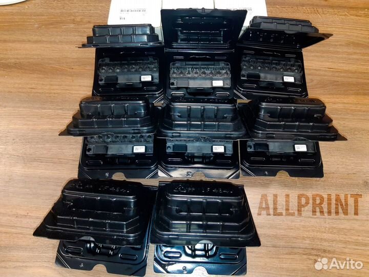 Печатающая головка Epson dx5