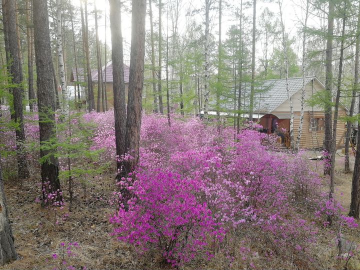 Коттедж 440 м² на участке 32 сот.