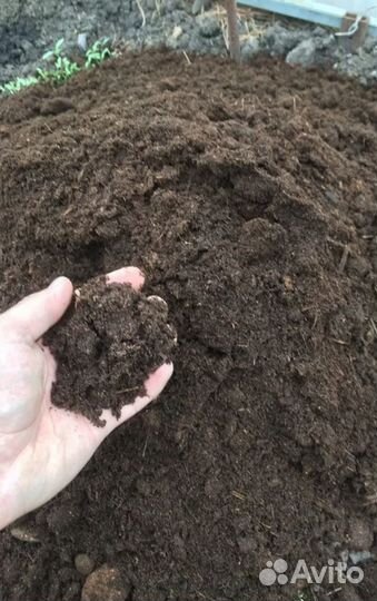 Навоз коровяк перегнивший