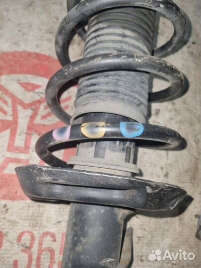 Амортизатор Volkswagen Jetta 5 2009