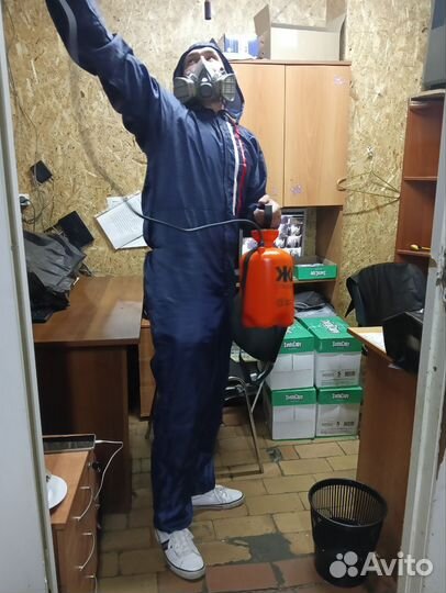 Уничтожение тараканов, клопов, и т.д