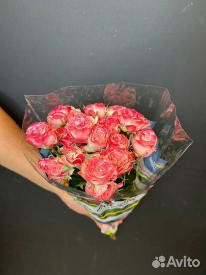 Роза кустовая Опт