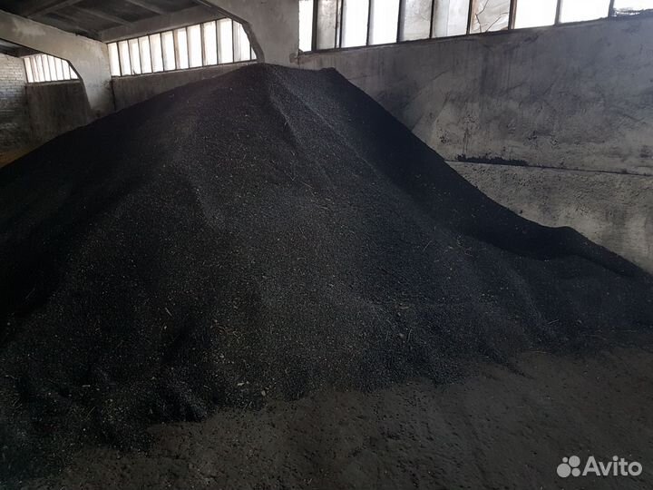 Семечки подсолнечника