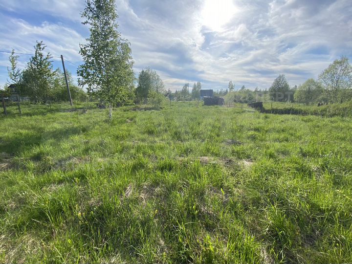 Участок 6,3 сот. (СНТ, ДНП)