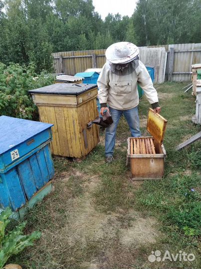 Башкирский мед 2023