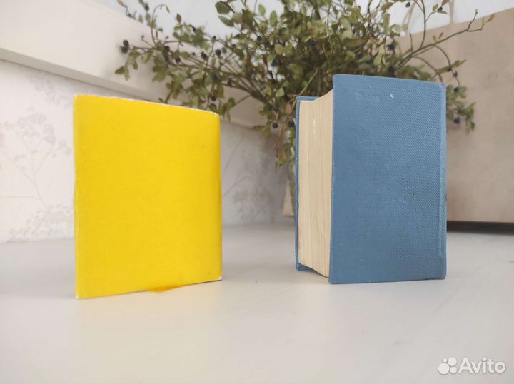 Миниатюрные книги